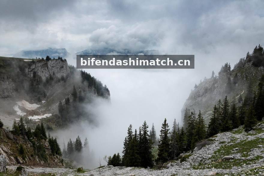 比分大师团队数据研发现场