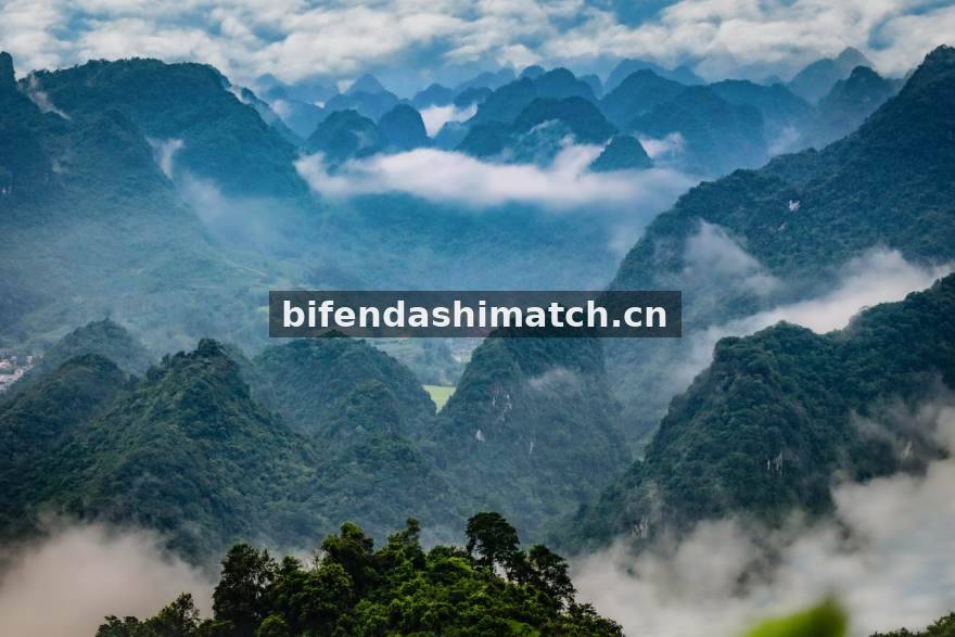 比分大师赛事数据总览主视觉